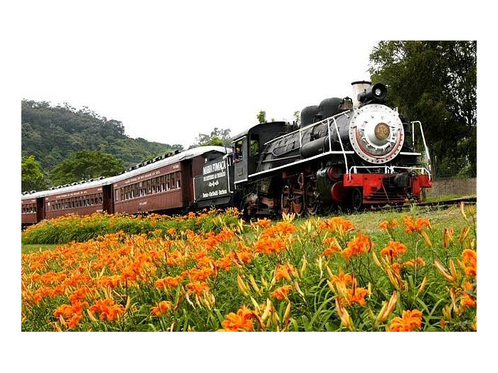 Trem.jpg